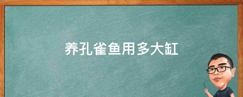 养孔雀鱼用多大缸 养孔雀鱼需要多大的缸