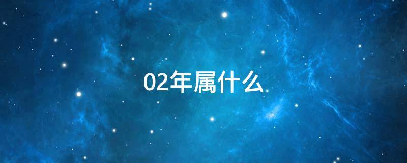 02年属什么（02年属什么今年多大2022）