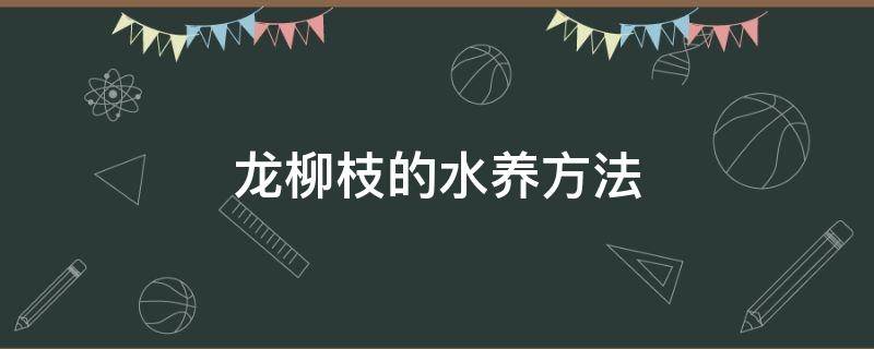 龙柳枝的水养方法 龙柳枝的水养方法水多好不好