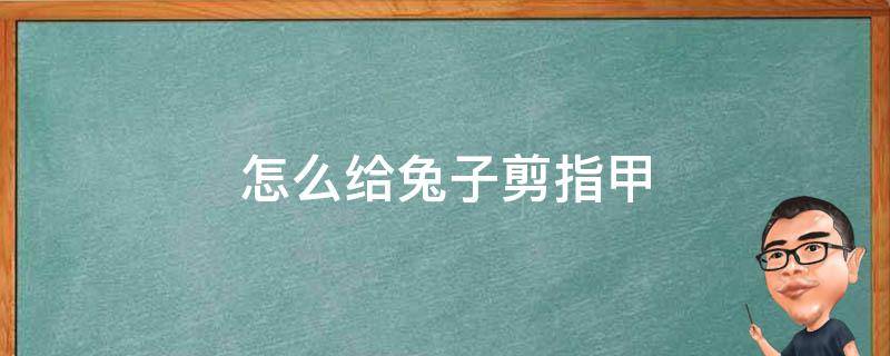 怎么给兔子剪指甲 怎么给兔子剪指甲视频