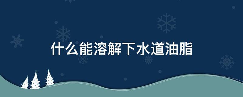 什么能溶解下水道油脂 下水道硬油脂用什么可以分解