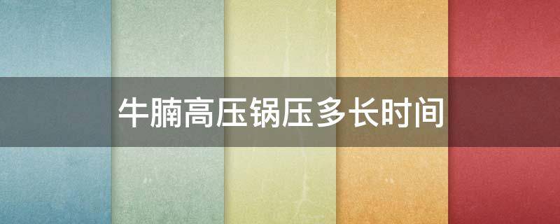 牛腩高压锅压多长时间 牛腩高压锅压多长时间会烂