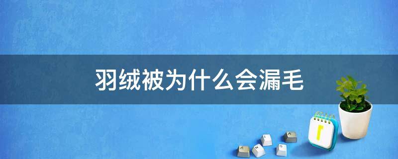 羽绒被为什么会漏毛 羽绒被漏羽毛严重