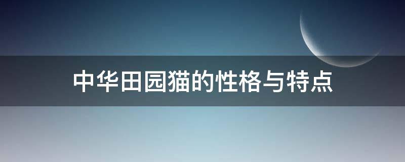 中华田园猫的性格与特点 中华田园猫 性格