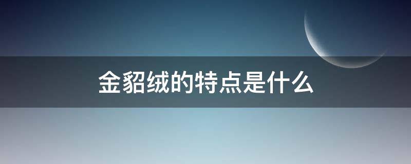 金貂绒的特点是什么（什么是金貂绒?）