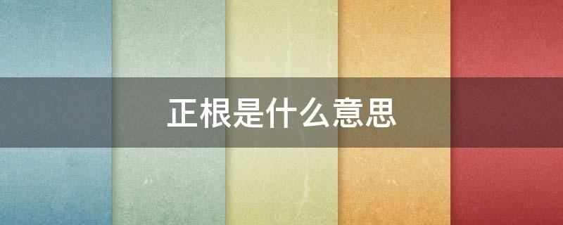 正根是什么意思 正根是什么意思(在数学中