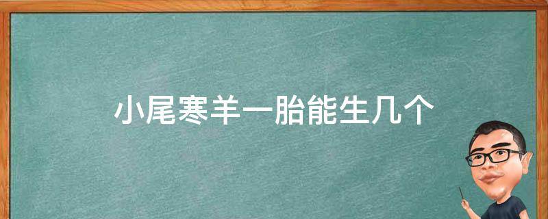 小尾寒羊一胎能生几个 小尾寒羊一胎能生几只