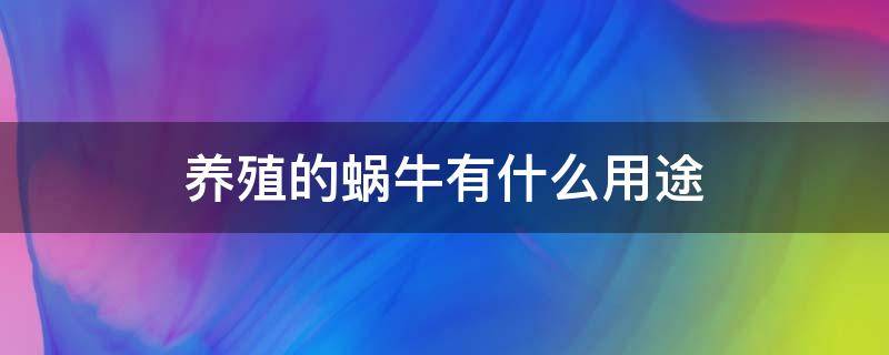 养殖的蜗牛有什么用途（养殖蜗牛是用来做什么的）