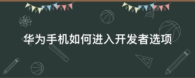 华为手机如何进入开发者选项（华为怎样进入开发者选项）