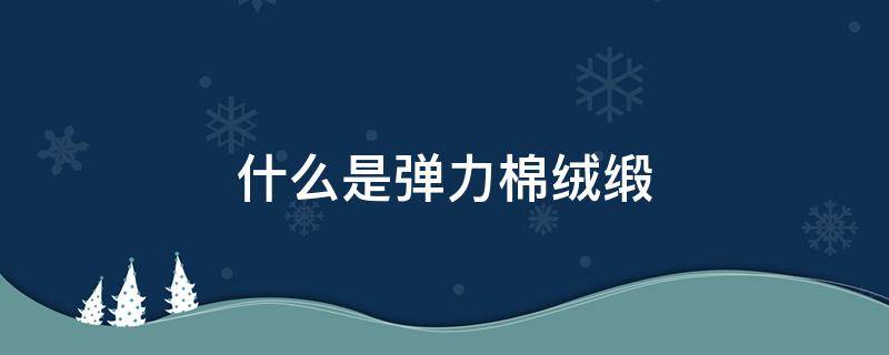 什么是弹力棉绒缎（弹力缎是什么面料）