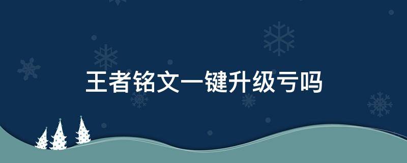 王者铭文一键升级亏吗（铭文有必要一键升级吗）