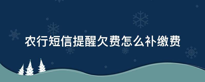 农行短信提醒欠费怎么补缴费 农业银行短信提醒欠费怎么补交