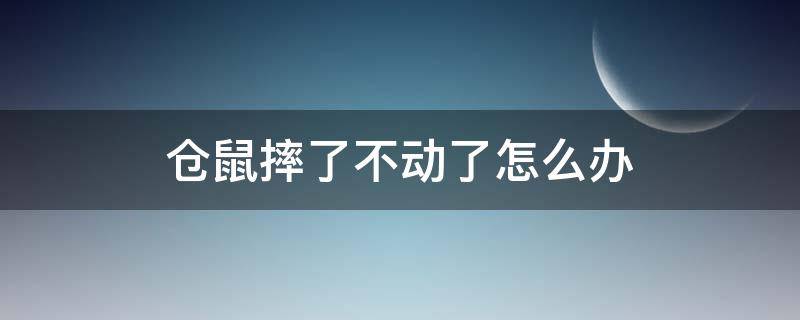 仓鼠摔了不动了怎么办 仓鼠不小心摔了一直不动了怎么办