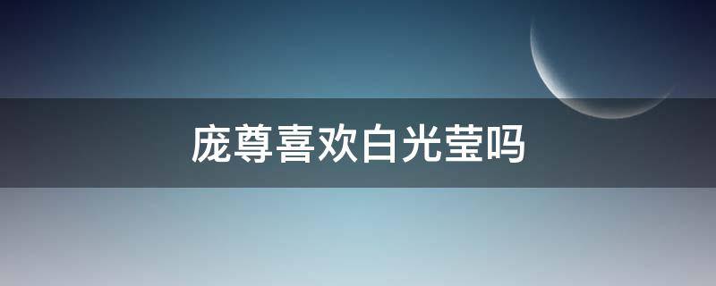 庞尊喜欢白光莹吗（庞尊喜欢白光莹吗 小说）