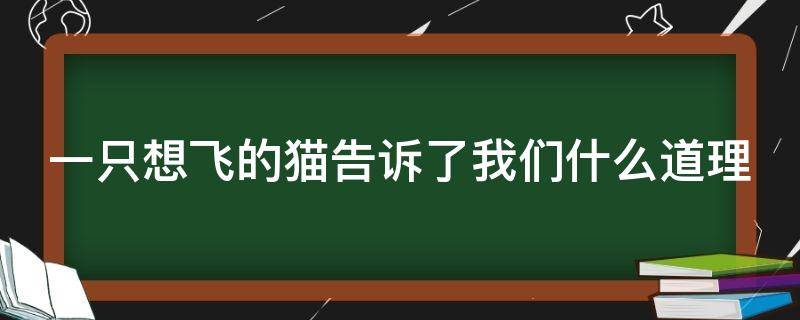 一只想飞的猫告诉了我们什么道理（一只想飞的猫告诉了我们什么道理二年级）