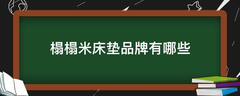 榻榻米床垫品牌有哪些（榻榻米床垫什么品牌好）