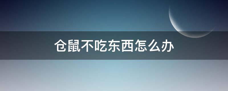 仓鼠不吃东西怎么办 刚买回家的仓鼠不吃东西怎么办