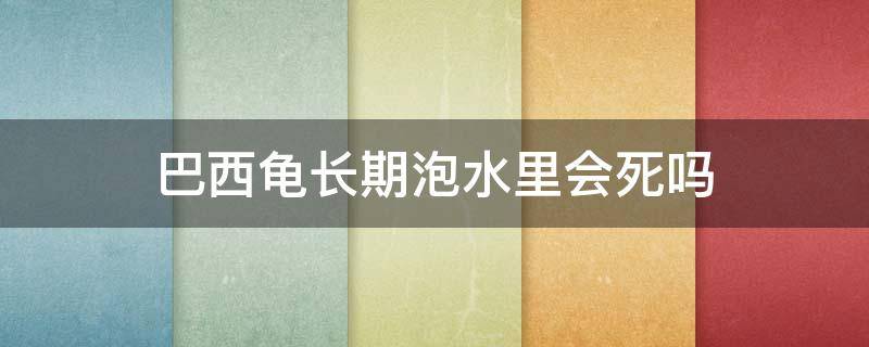 巴西龟长期泡水里会死吗（巴西龟不放水里多久会死）