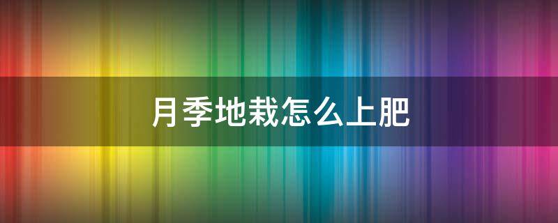 月季地栽怎么上肥 月季地栽用什么肥