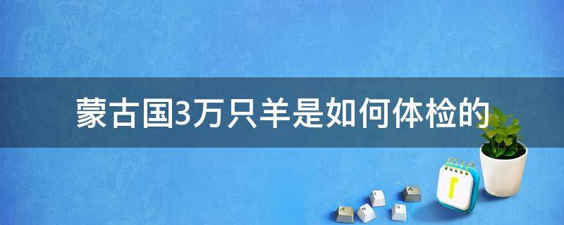 蒙古国3万只羊是如何体检的（蒙古国3万只羊是如何体检的 app）