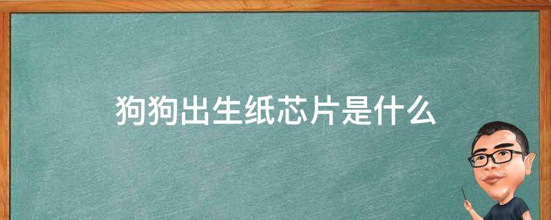 狗狗出生纸芯片是什么 幼犬出生纸和芯片