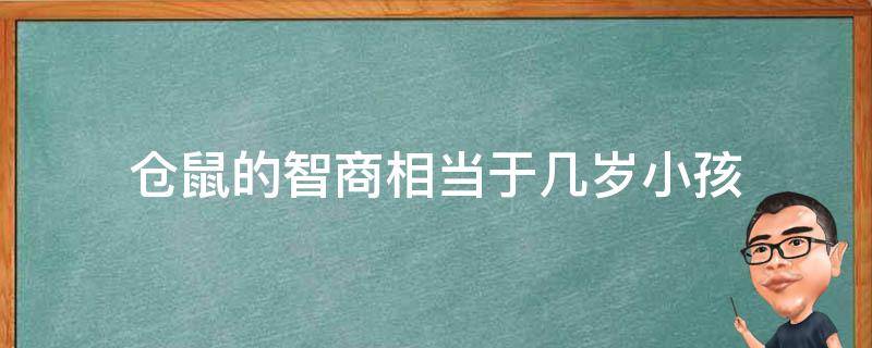 仓鼠的智商相当于几岁小孩 仓鼠的智商是人几岁智商