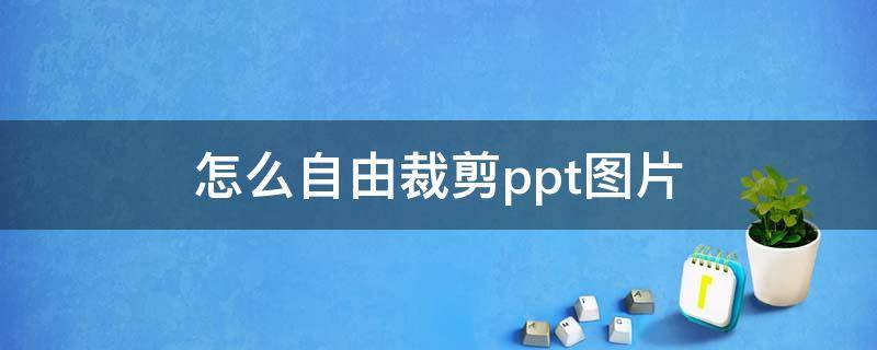 怎么自由裁剪ppt图片 PPT图片自由裁剪