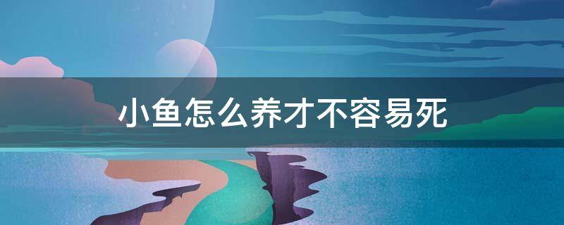 小鱼怎么养才不容易死 什么样小鱼好养而且不容易死