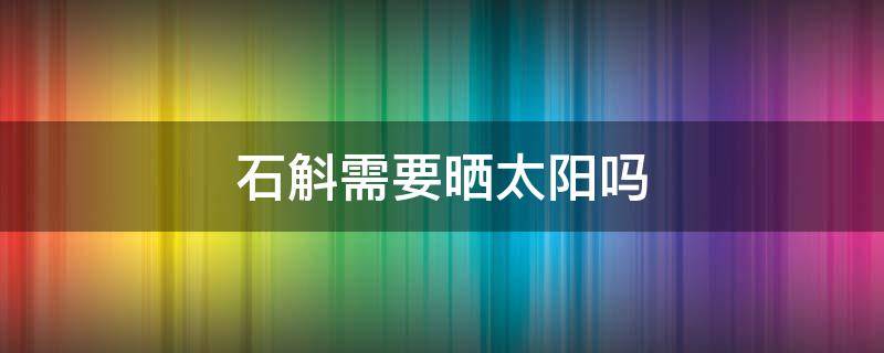 石斛需要晒太阳吗 石斛可以阳光晒吗