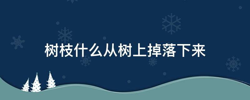 树枝什么从树上掉落下来（树枝什么从树上掉落下来拟声词）