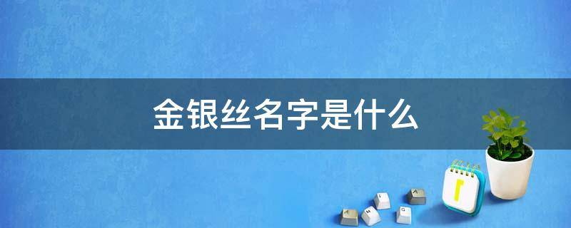 金银丝名字是什么 金银丝百科