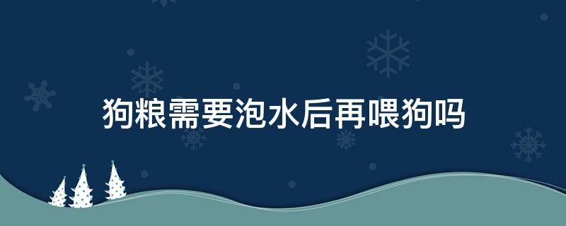 狗粮需要泡水后再喂狗吗 喂狗粮需要用水泡吗