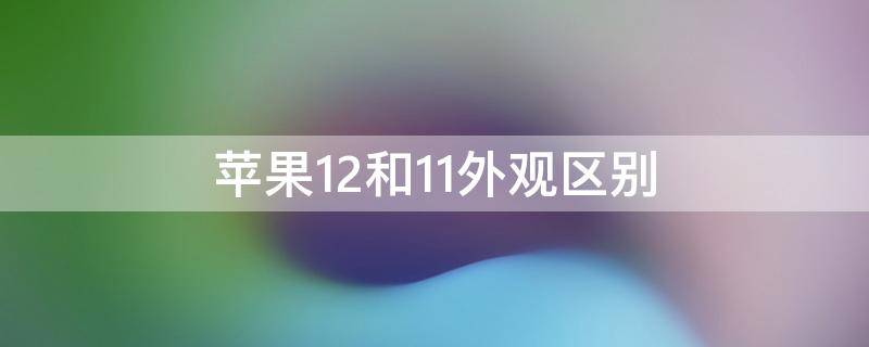 苹果12和11外观区别 苹果12和11的区别