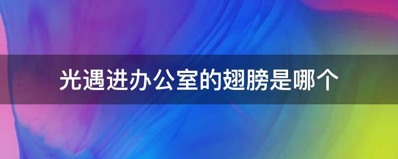 光遇进办公室的翅膀是哪个（办公室里有什么光遇）