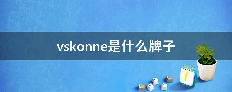 vskonne是什么牌子（vskonne是什么牌子衣服）