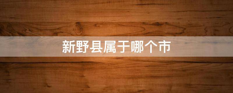 新野县属于哪个市 新野县属于哪个市区管