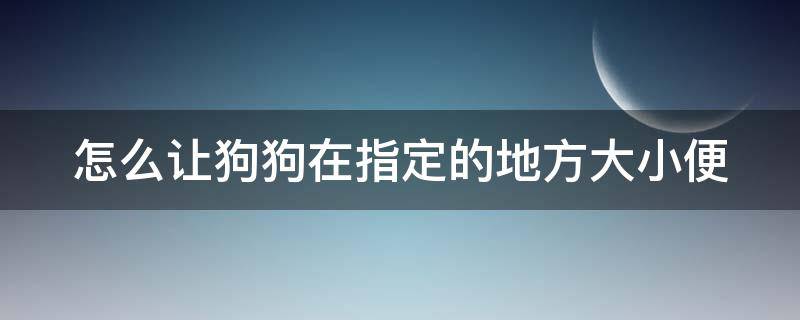 怎么让狗狗在指定的地方大小便（二个月的狗狗训练如厕）