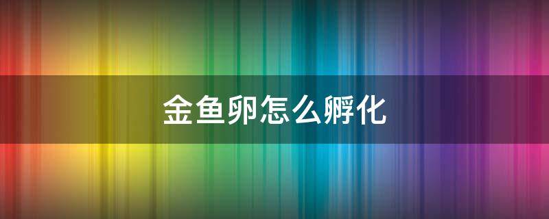 金鱼卵怎么孵化 金鱼卵怎么孵化小鱼