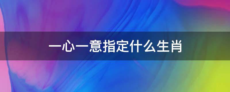 一心一意指定什么生肖（一心一意是哪一生肖）