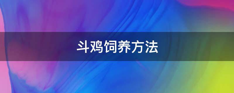 斗鸡饲养方法（养斗鸡技术知识大全）