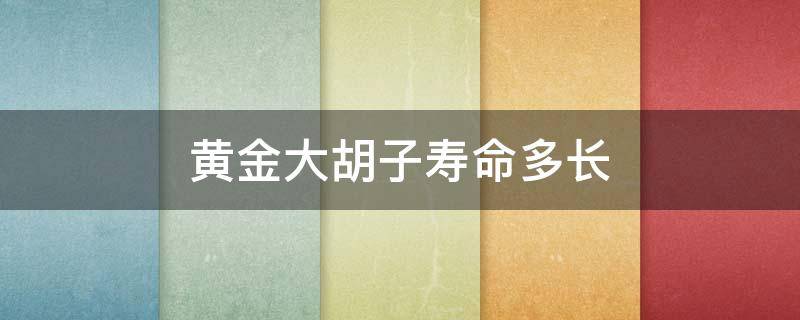 黄金大胡子寿命多长 黄金胡子一年长多少