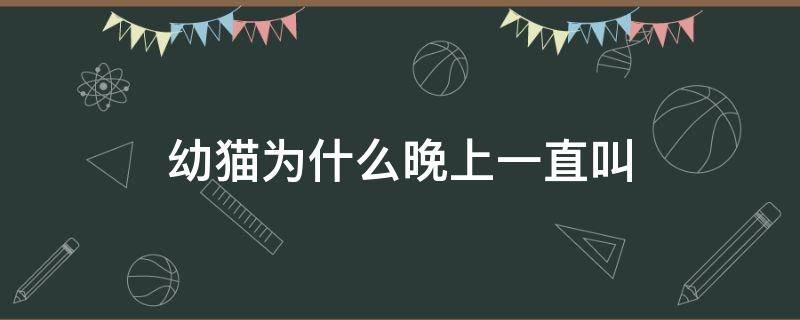 幼猫为什么晚上一直叫 幼猫晚上一直叫是什么原因