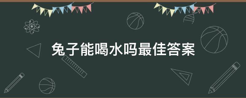 兔子能喝水吗最佳答案 兔子应不应该喝水