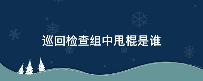 巡回检查组中甩棍是谁（巡回检查 甩棍）