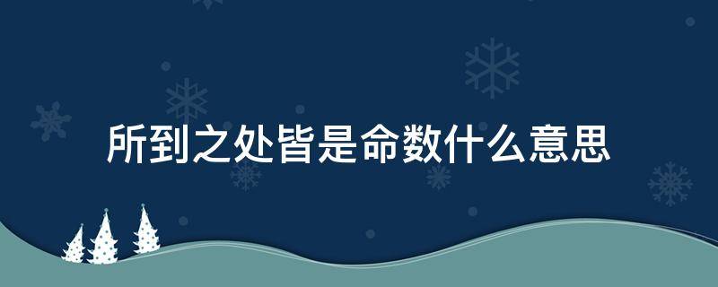 所到之处皆是命数什么意思（所到之处皆是命数啥意思）