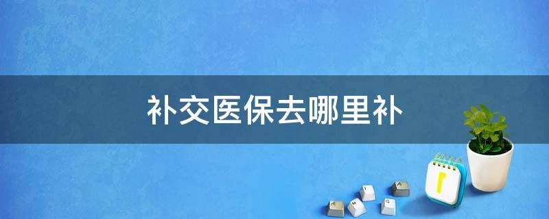 补交医保去哪里补 职工补交医保去哪里补