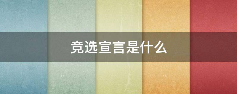 竞选宣言是什么（竞选宣言）