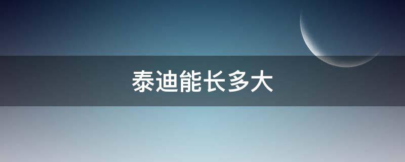 泰迪能长多大（正常体泰迪能长多大）