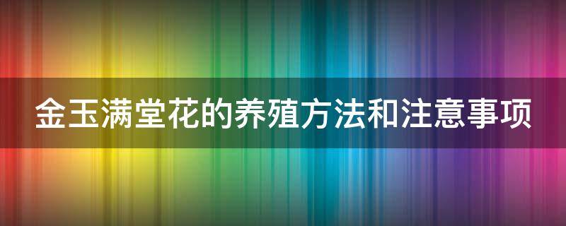 金玉满堂花的养殖方法和注意事项（多肉金玉满堂花的养殖方法和注意事项）