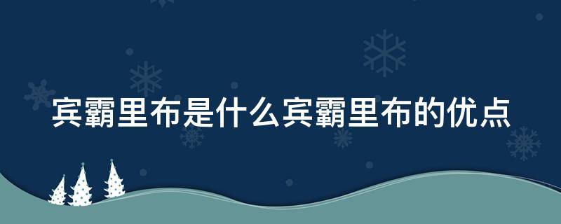 宾霸里布是什么宾霸里布的优点 宾霸里料优点和缺点